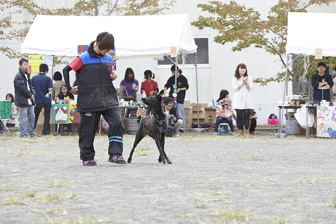 科大祭