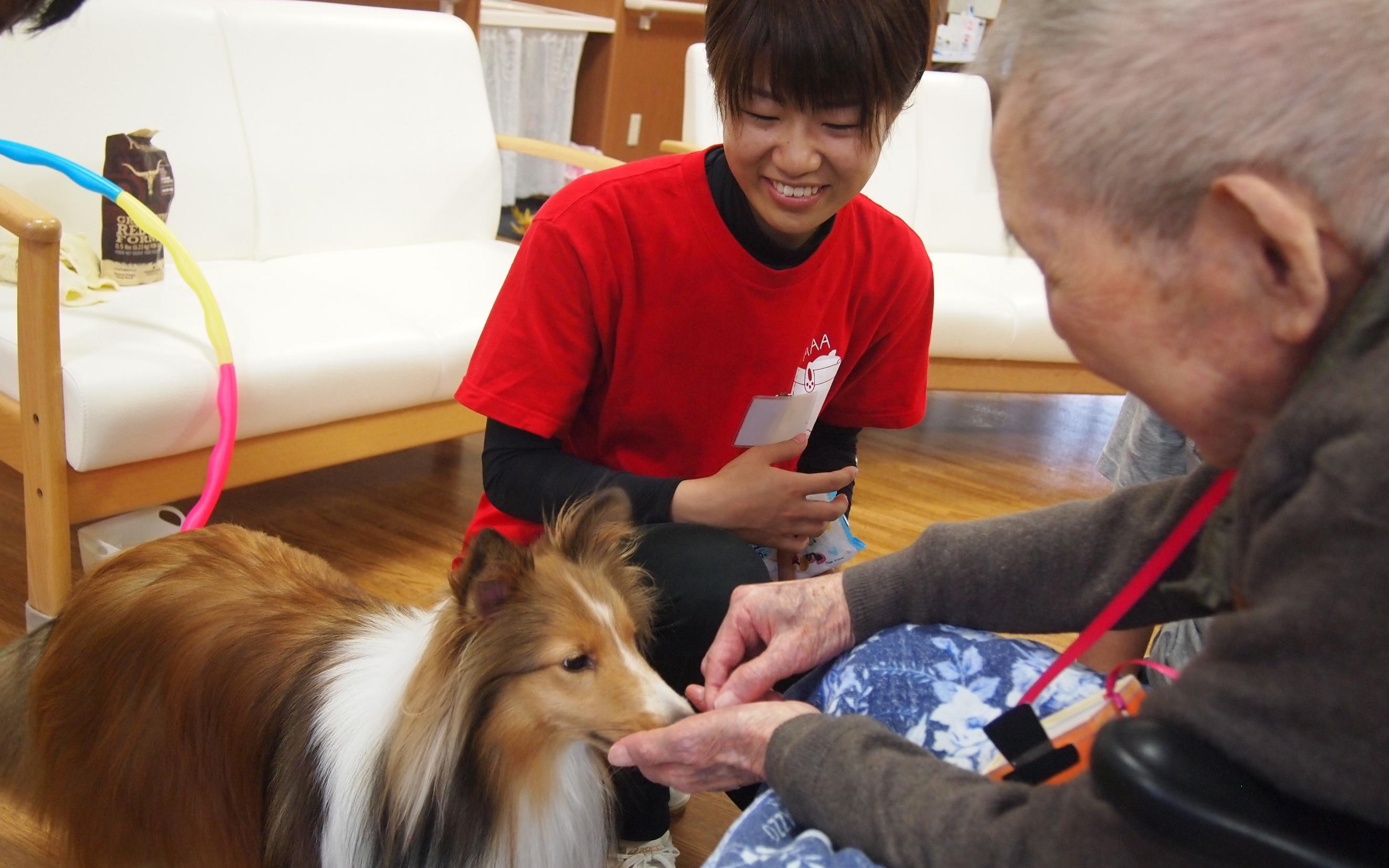 動物介在活動部