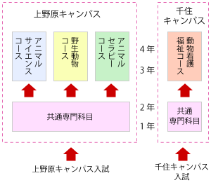 4コース制