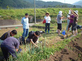 写真1.　桂川・相模川流域協議会のスタッと共同で、水路のシジミ調査を行っているところ。(H16,夏)