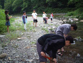 写真2.　丹波山の河川でシジミを探しているところ。子供達も協力してくれている？