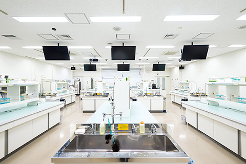 Laboratory for Department of Life & Health Sciences