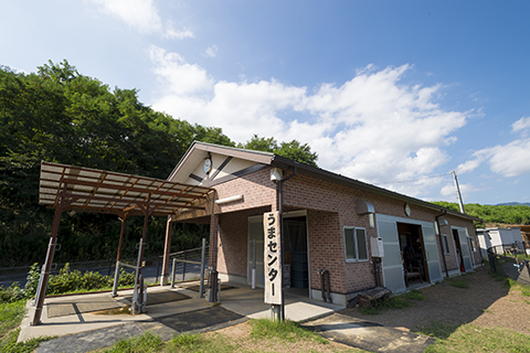 Horse Intervention Activity Center (Animal Interaction Park)