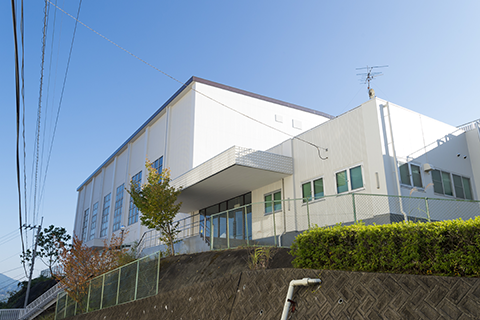 Gymnasium (Exterior)