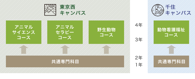 入試イメージ