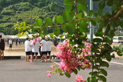 運動場　整備5.JPG