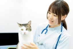 中島 双葉 さん