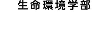 生命環境学部 自然環境学科