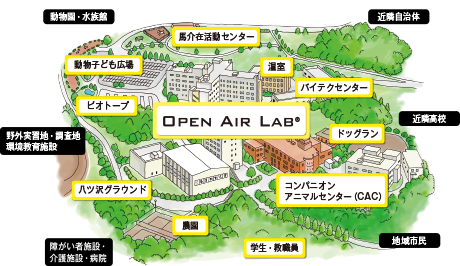 OPEN AIR LAB
