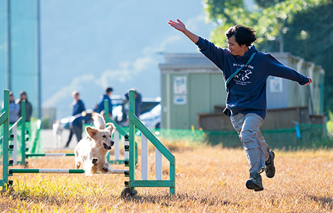 ドッグトレーナー研究部
