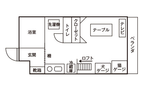 TEIKA学生向けのペット室内飼育可物件