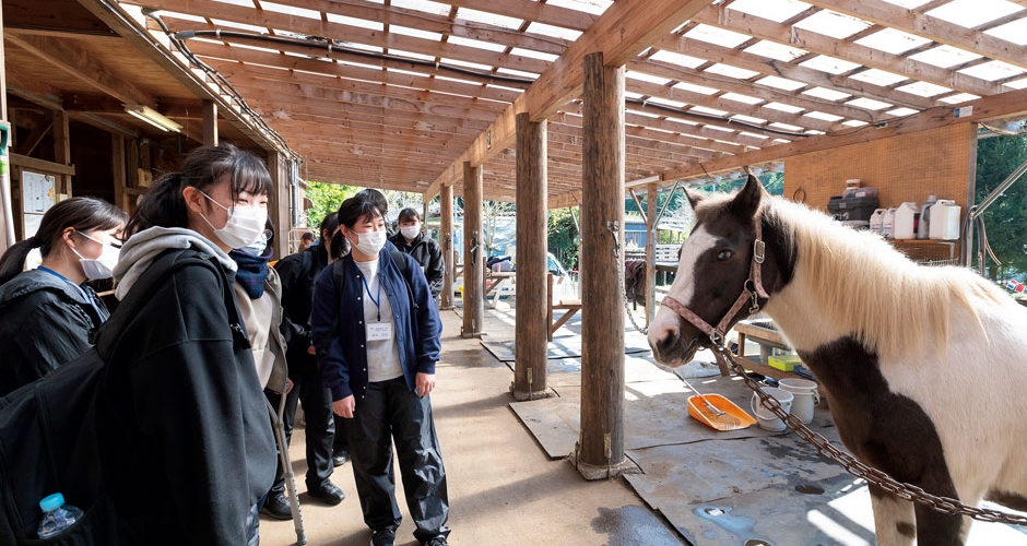 [写真] 早期臨床実習