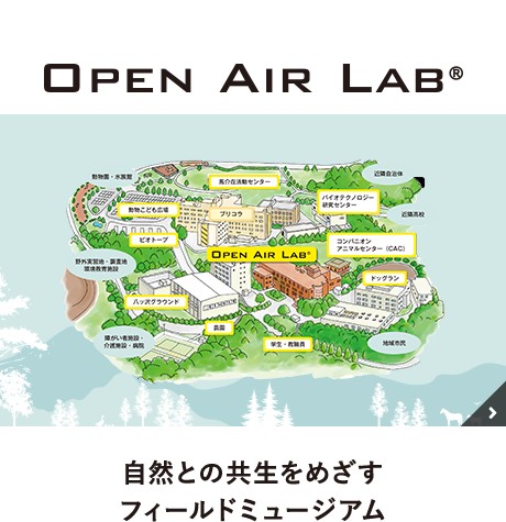 OPEN AIR LAB® 自然との共有をめざすフィールドミュージアム