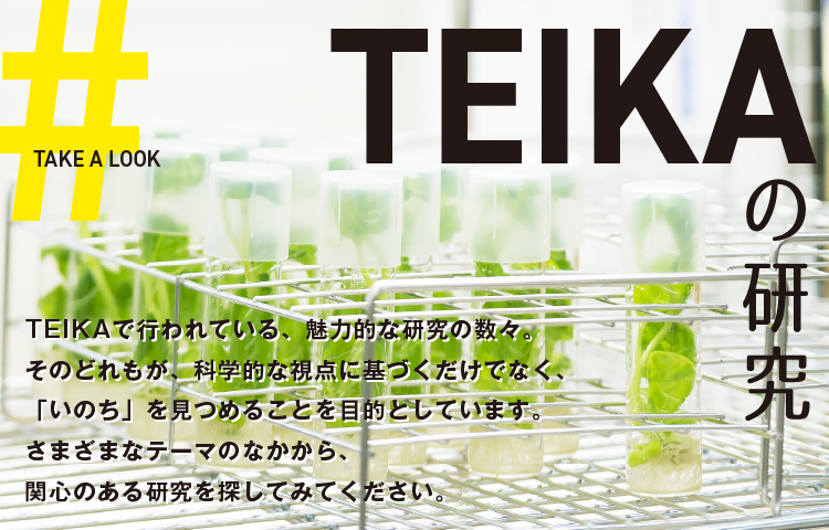 TEIKAの研究