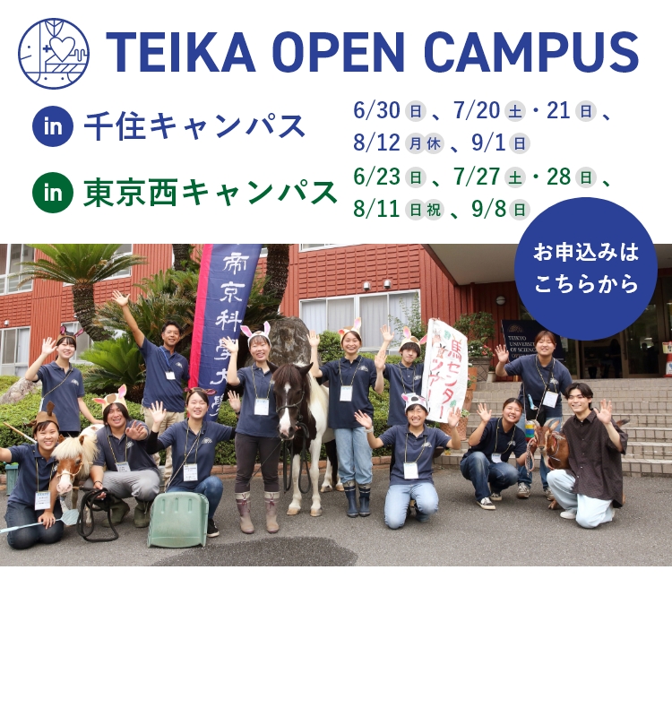 TEIKA OPEN CAMPUS