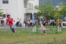 IMG_9775.JPG