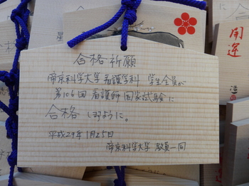 P1050980.JPG