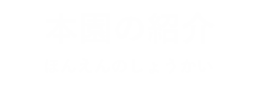 本園の紹介