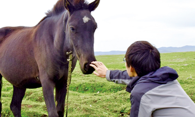 Course in Animal Behavior & Management