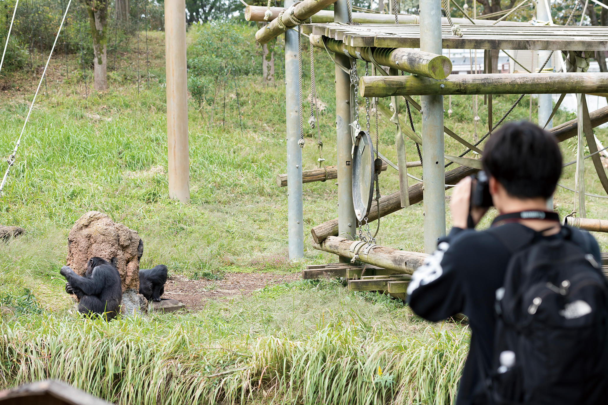 １．動物園動物学実習