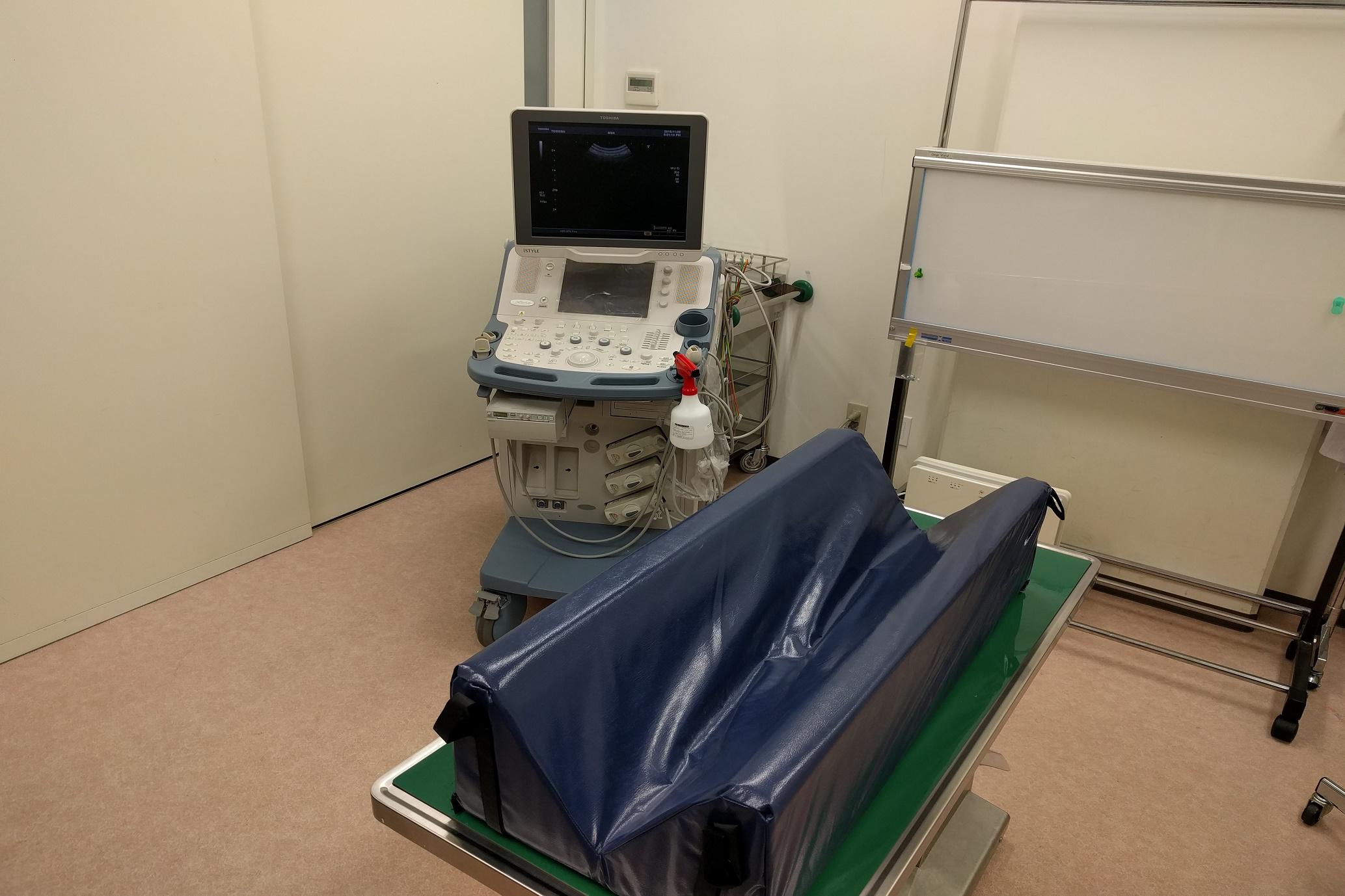 動物臨床検査学実習