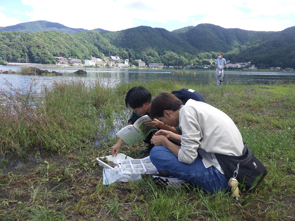 水草の調査