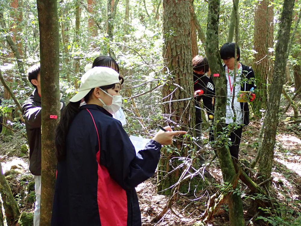 毎木調査の様子