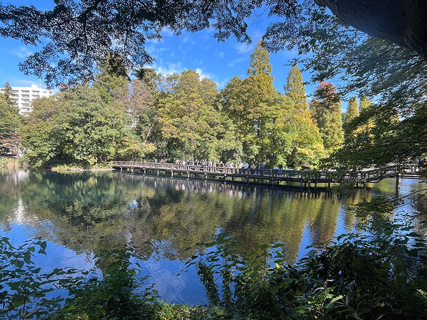 井の頭池