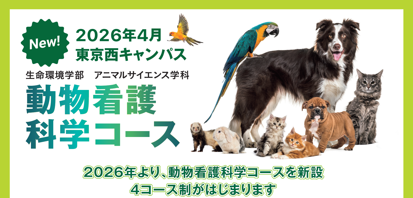 2026年4月新設、動物看護科学コースのご紹介