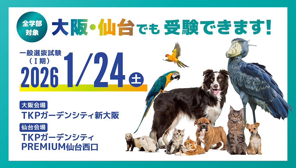 令和8年度地方試験会場