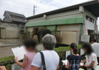 甲府市遊亀公園附属動物園での観察ワークショップ