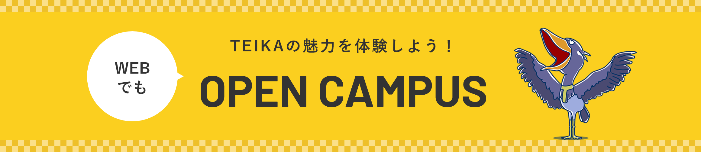 TEIKAの魅了を体験しよう！WEB OPEN CAMPUS